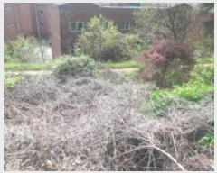  2024Ÿ��1069 �泲 ������ �ۻ�� ����� ��13-8      ����(�Ӿ�)���