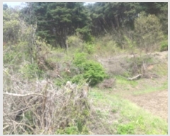  2024Ÿ��1069 �泲 ������ �ۻ�� ����� ��13-8      ����(�Ӿ�)���