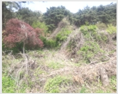  2024Ÿ��1069 �泲 ������ �ۻ�� ����� ��13-8      ����(�Ӿ�)���