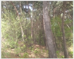  2024Ÿ��1069 �泲 ������ �ۻ�� ����� ��13-8      ����(�Ӿ�)���