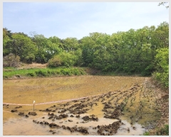  2024Ÿ1243 泲  ۾  112      ()