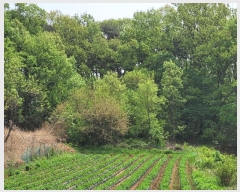  2024Ÿ1243 泲  ۾  112      ()