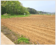  2024Ÿ1243 泲  ۾  112      ()