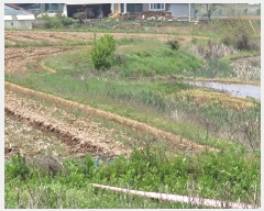  2024Ÿ1243 泲  ۾  112      ()