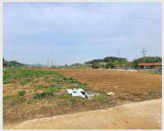  2024Ÿ1243 泲  ۾  112      ()