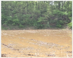  2024Ÿ1243 泲  ۾  112      ()