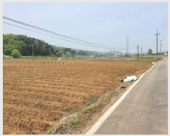  2024Ÿ1243 泲  ۾  112      ()