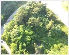  2024Ÿ2109 泲 ¾ȱ  ſ¸ 701-112      (Ӿ)