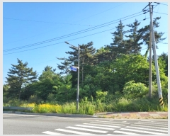  2024Ÿ2109 泲 ¾ȱ  ſ¸ 701-112      (Ӿ)