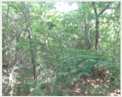  2024Ÿ2109 泲 ¾ȱ  ſ¸ 701-112      (Ӿ)