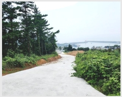  2024Ÿ��3065  �Ӿ߰��