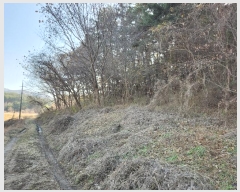  2024Ÿ��4815 �泲 ����� �ع̸� ���и� 11      ����(��)���