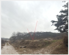  2024Ÿ51385 泲  ۾ õ 182-1      (1)