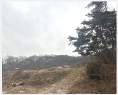  2024Ÿ51385 泲  ۾ õ 182-1      (1)