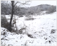  2024Ÿ51385 泲  ۾ õ 182-1      (1)