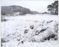  2024Ÿ51385 泲  ۾ õ 182-1      (1)