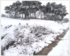  2024Ÿ51385 泲  ۾ õ 182-1      (1)