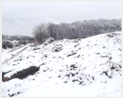  2024Ÿ51385 泲  ۾ õ 182-1      (1)