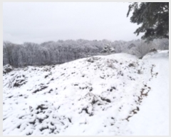  2024Ÿ51385 泲  ۾ õ 182-1      (1)