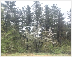  2024Ÿ��52869 �泲 �¾ȱ� �ҿ��� ������ 40-1      ����(�Ӿ�)���