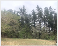  2024Ÿ��52869 �泲 �¾ȱ� �ҿ��� ������ 40-1      ����(�Ӿ�)���