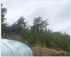  2024Ÿ��52869 �泲 �¾ȱ� �ҿ��� ������ 40-1      ����(�Ӿ�)���