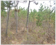  2024Ÿ��52869 �泲 �¾ȱ� �ҿ��� ������ 40-1      ����(�Ӿ�)���