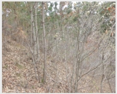  2024Ÿ��52869 �泲 �¾ȱ� �ҿ��� ������ 40-1      ����(�Ӿ�)���