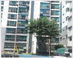  2024Ÿ54643 泲   31, 101 3306ȣ (絿,ûƮ)    Ʈ