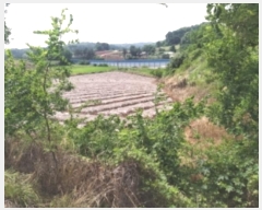  2024Ÿ��55271 �泲 ������ �۾��� ���븮 694-10      ����(�Ӿ�)���