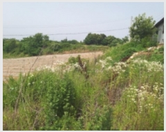  2024Ÿ��55271 �泲 ������ �۾��� ���븮 694-10      ����(�Ӿ�)���