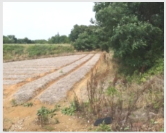  2024Ÿ��55271 �泲 ������ �۾��� ���븮 694-10      ����(�Ӿ�)���