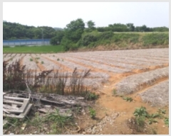  2024Ÿ��55271 �泲 ������ �۾��� ���븮 694-10      ����(�Ӿ�)���