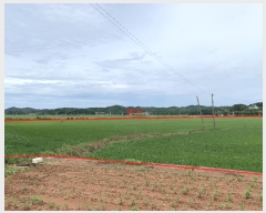  2024Ÿ��55967 �泲 �¾ȱ� ������ ������ 1256-1      ����(��)���