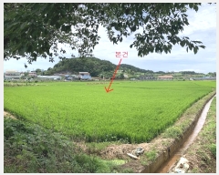  2024Ÿ��55967 �泲 �¾ȱ� ������ ������ 1256-1      ����(��)���