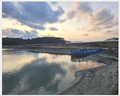  2024Ÿ60549 泲    663-6      Ÿ