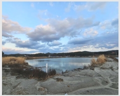  2024Ÿ60549 泲    663-6      Ÿ