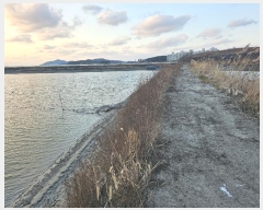  2024Ÿ60549 泲    663-6      Ÿ