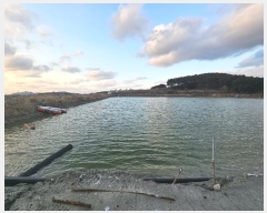  2024Ÿ60549 泲    663-6      Ÿ