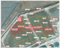  2024Ÿ60549 泲    663-6      Ÿ