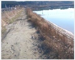  2024Ÿ60549 泲    663-6      Ÿ