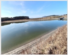  2024Ÿ60549 泲    663-6      Ÿ