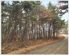  2024Ÿ61559 泲 ¾ȱ  û 88-5      (Ӿ)