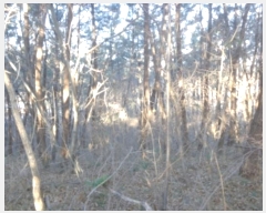  2024Ÿ61559 泲 ¾ȱ  û 88-5      (Ӿ)