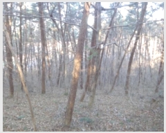  2024Ÿ61559 泲 ¾ȱ  û 88-5      (Ӿ)