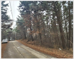  2024Ÿ61559 泲 ¾ȱ  û 88-5      (Ӿ)