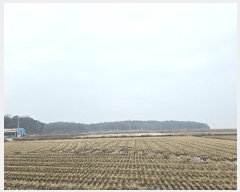  2024Ÿ62248 泲   긮 494-19      (Ӿ)