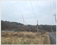  2024Ÿ62248 泲   긮 494-19      (Ӿ)