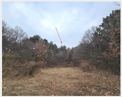  2024Ÿ62248 泲   긮 494-19      (Ӿ)