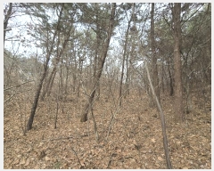  2024Ÿ62248 泲   긮 494-19      (Ӿ)